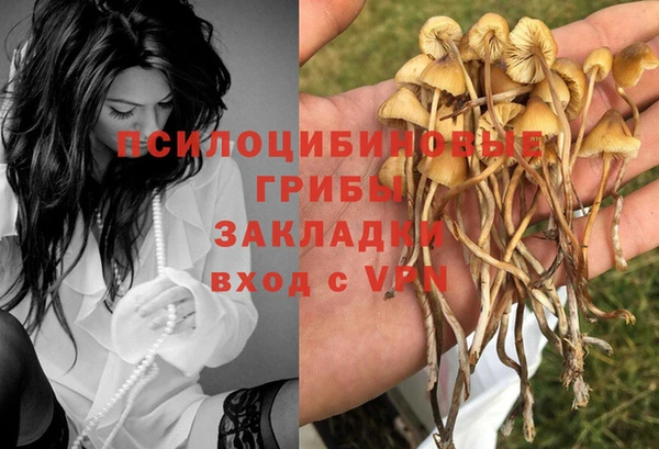 мяу мяу кристалл Бородино