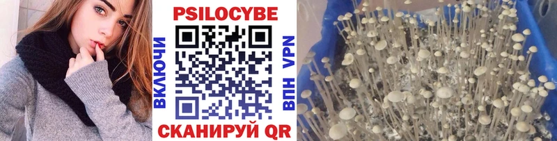 Псилоцибиновые грибы мухоморы  даркнет формула  Сретенск  где купить  