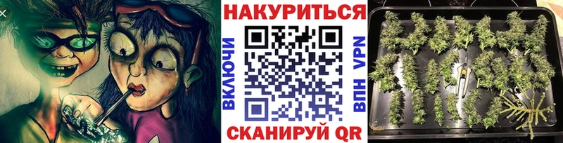 купить   Сретенск  Каннабис VHQ 